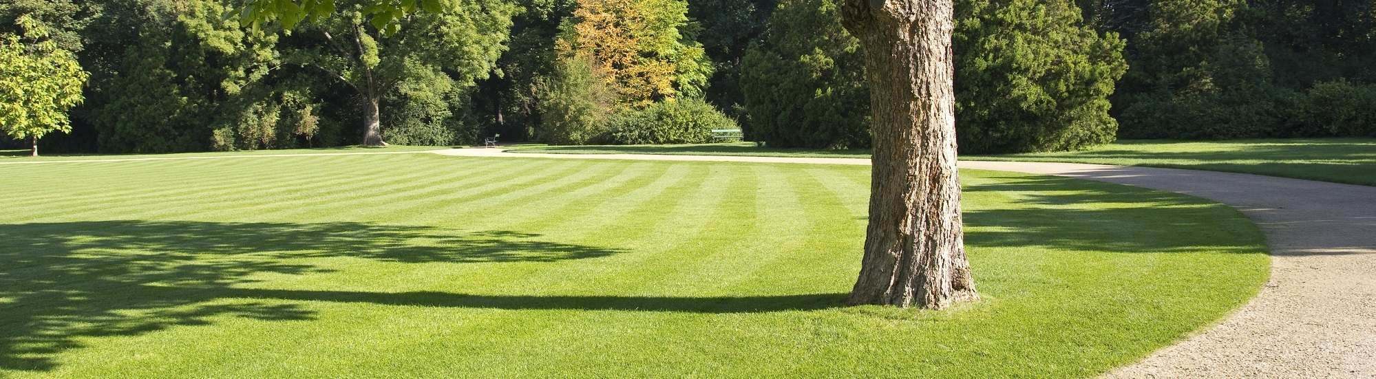 Lawn Mowing Hamilton Cambridge McCanns Mowing Waikato
